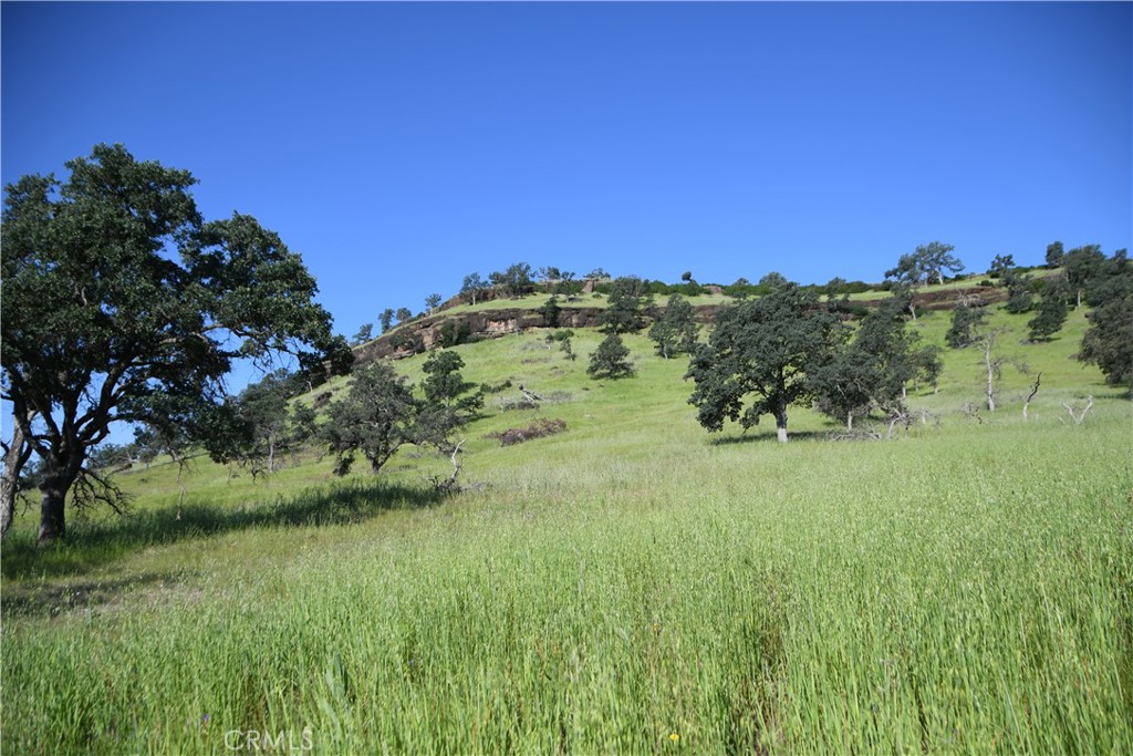 0 Cobble Creek Road Oroville, CA 95965 - Photo 25 of 55 a view of a big yard with a large tree and a table and chairs