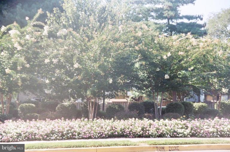 6351 Rockshire Street Alexandria, VA 22315 - Photo 10 of 11 Community Amenities 1