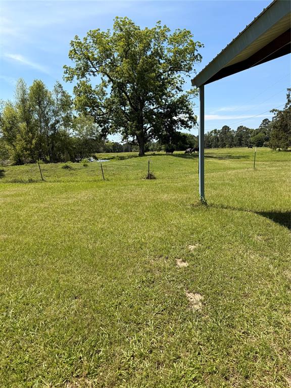 720 Haggerty Road Karnack, TX 75661 - Photo 6 of 39 a view of a field with tree in the background
