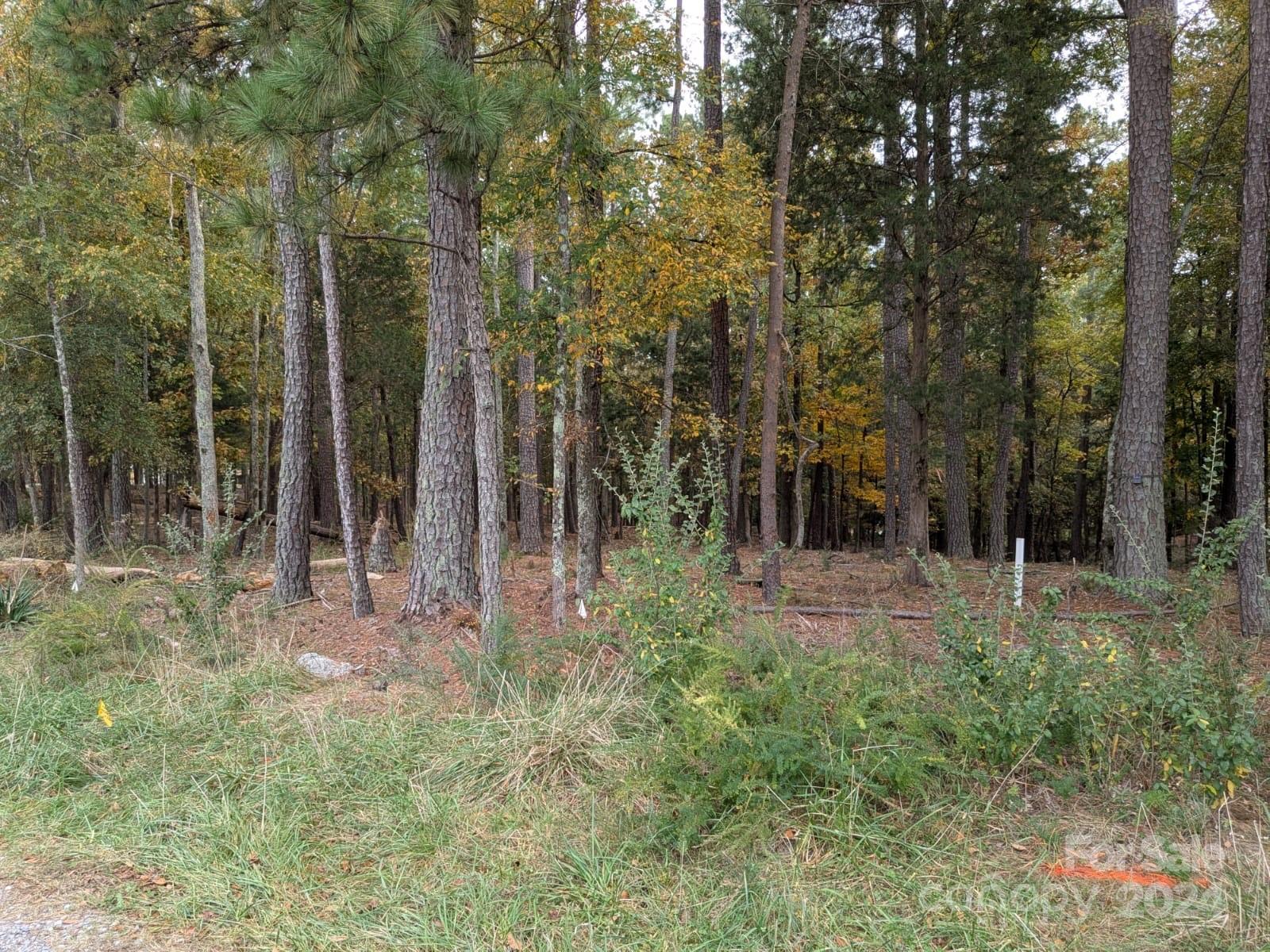 3.447-acres Spratt Road York, SC 29745 - Photo 3 of 7