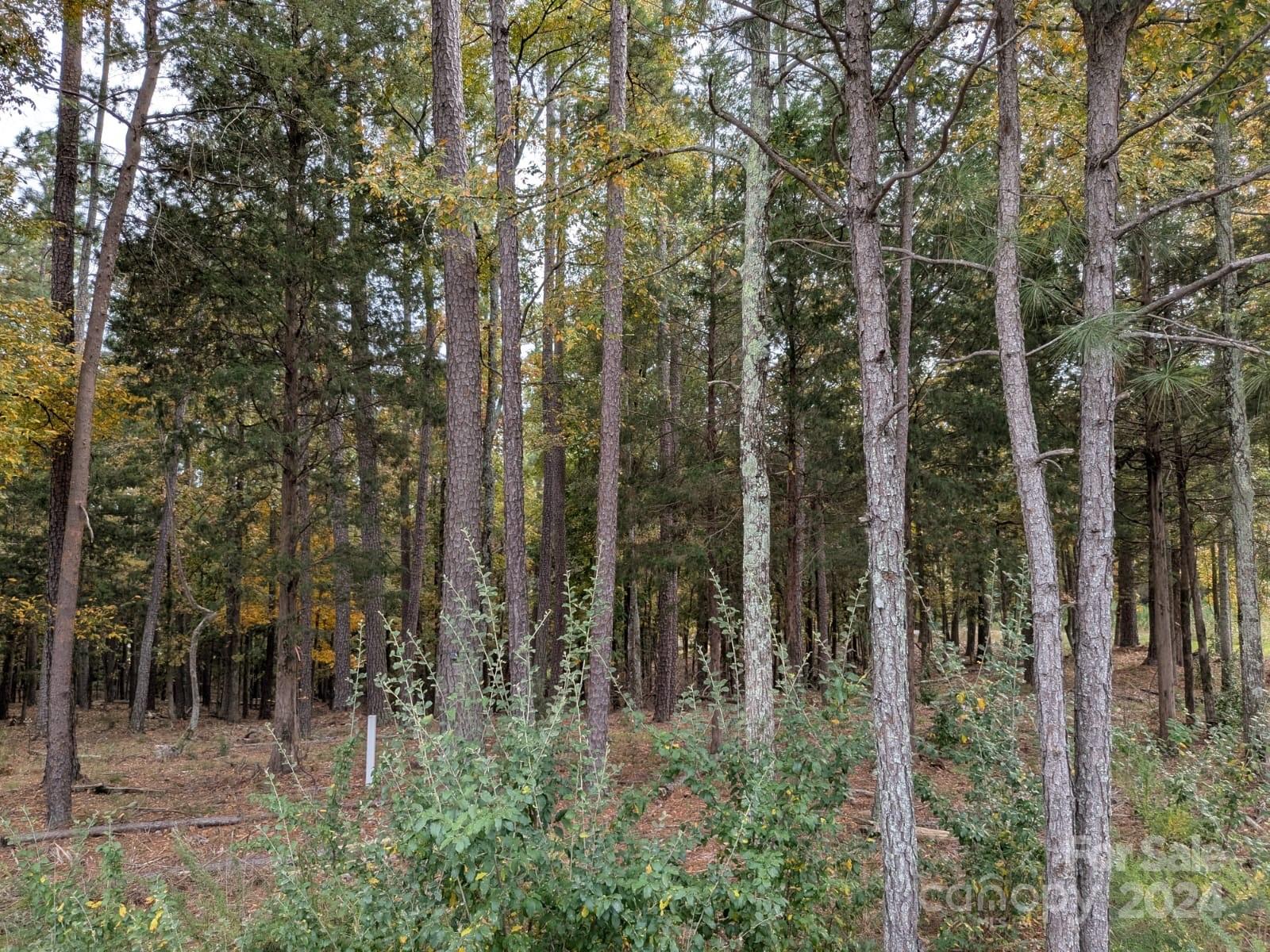 3.447-acres Spratt Road York, SC 29745 - Photo 4 of 7