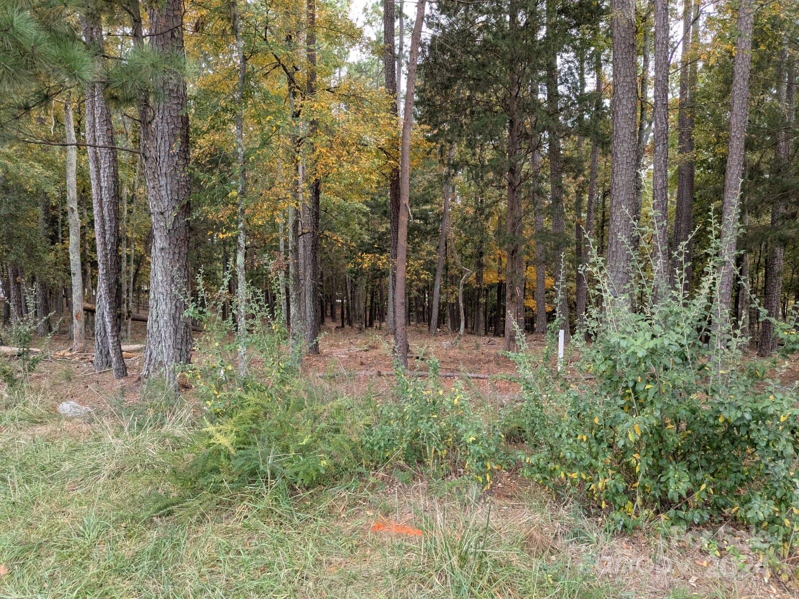 3.447-acres Spratt Road York, SC 29745 - Photo 5 of 7