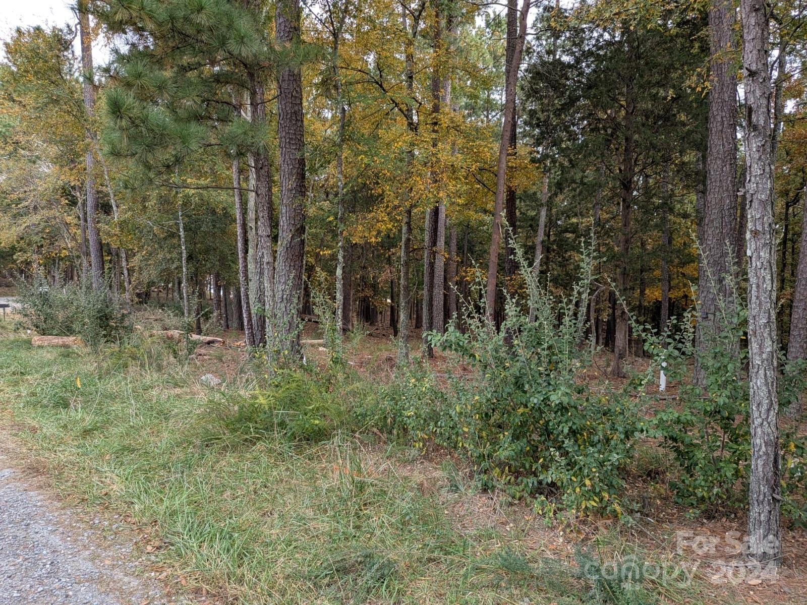 3.447-acres Spratt Road York, SC 29745 - Photo 7 of 7