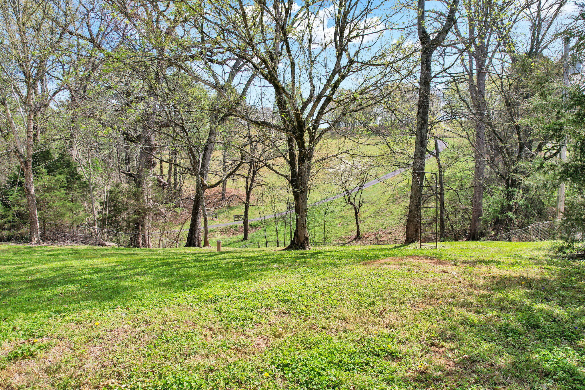 1168 Council Road Northeast Charleston, TN 37310 - Photo 49 of 54 9-web-or-mls-DJI_0270