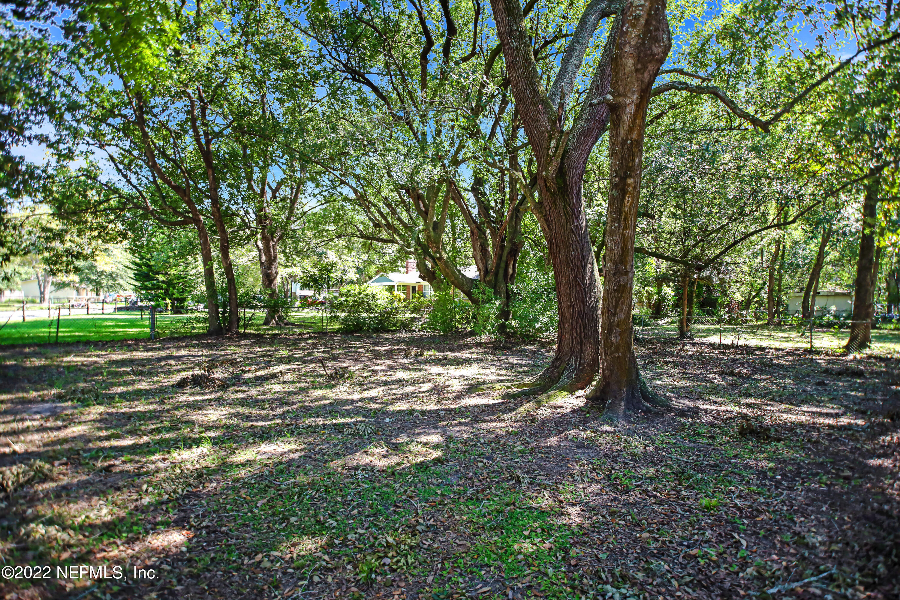 2707 Ripley Avenue Jacksonville, FL 32207 - Photo 24 of 25 5J4A5272