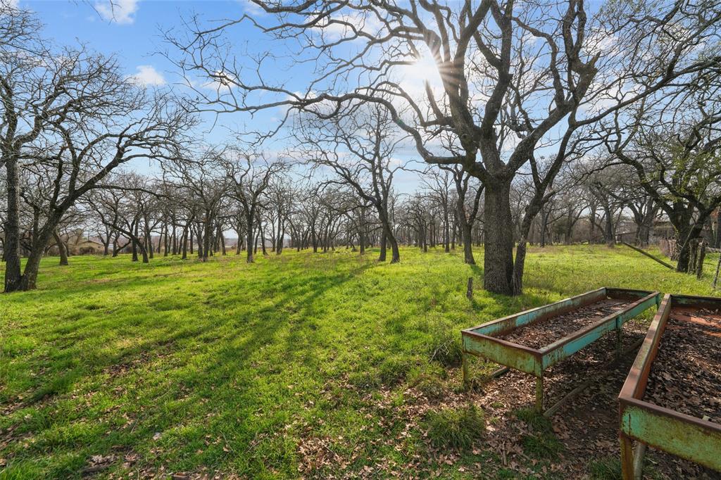 1051 Lynch Bend Road Springtown, TX 76082 - Photo 36 of 39 a view of a park with large trees