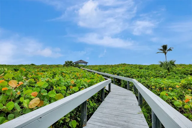 a view of an ocean beach