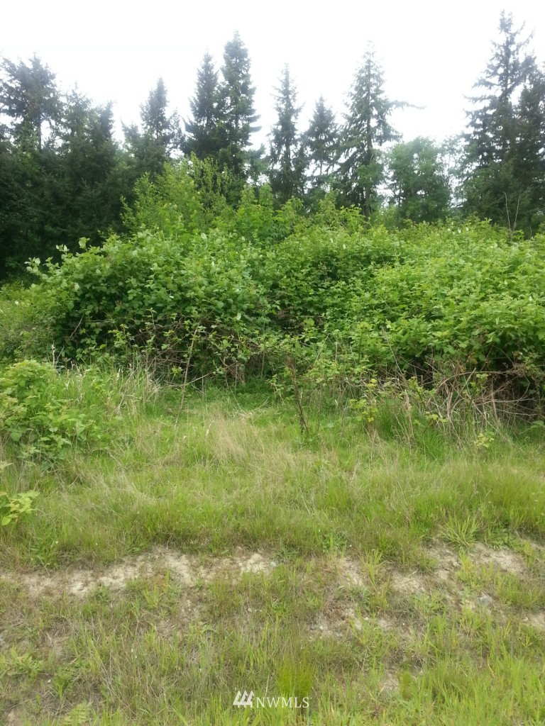 a view of a lush green space near a lake view