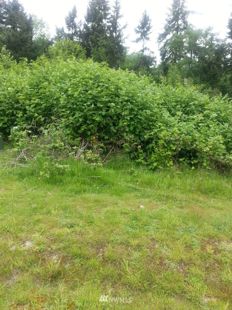 -lts24&25 Watkins Road Freeland, WA 98249 - Photo 2 of 5 a view of a garden
