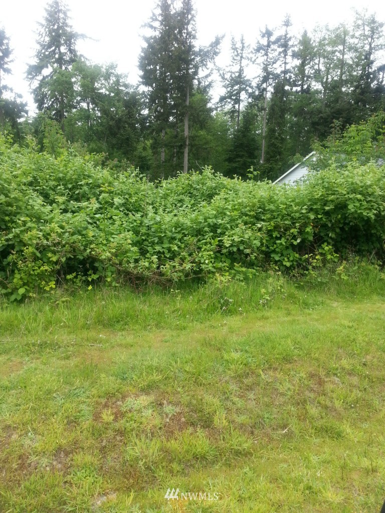 -lts24&25 Watkins Road Freeland, WA 98249 - Photo 3 of 5 a view of a garden