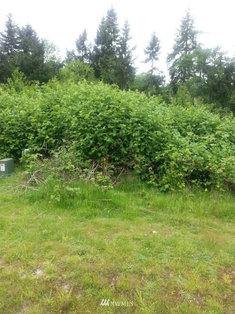 -lts24&25 Watkins Road Freeland, WA 98249 - Photo 4 of 5 a view of a lush green space
