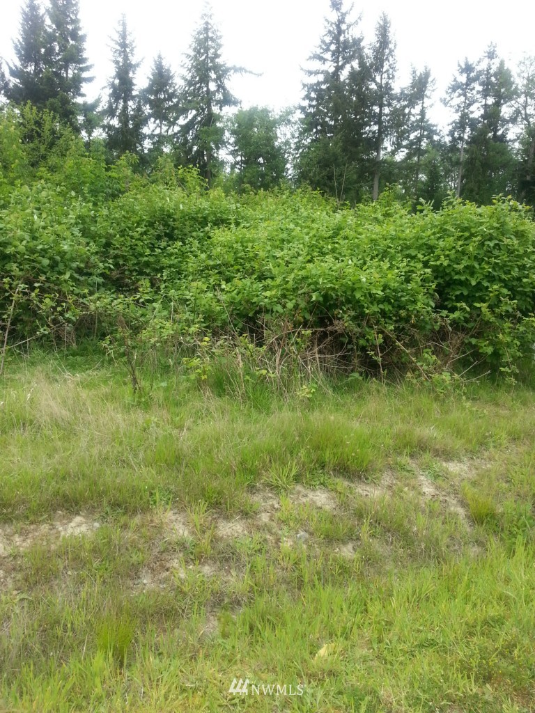 -lts24&25 Watkins Road Freeland, WA 98249 - Photo 5 of 5 a view of a lush green space