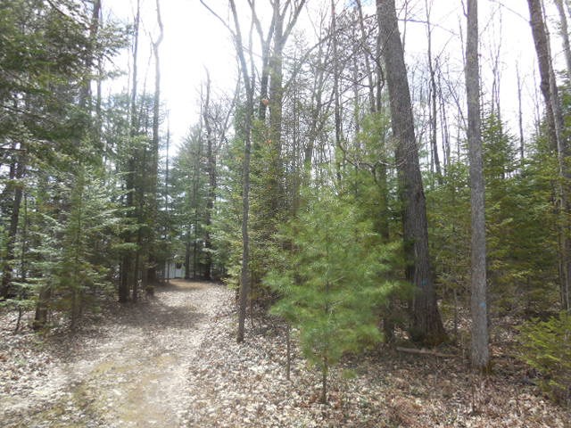 5091 Kokosing Road Hale, MI 48739 - Photo 37 of 62 1873924-36.JPG