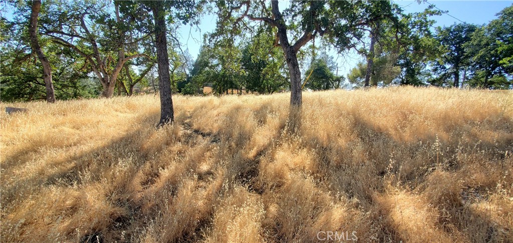 15687 Stagecoach Road Corning, CA 96021 - Photo 1 of 11