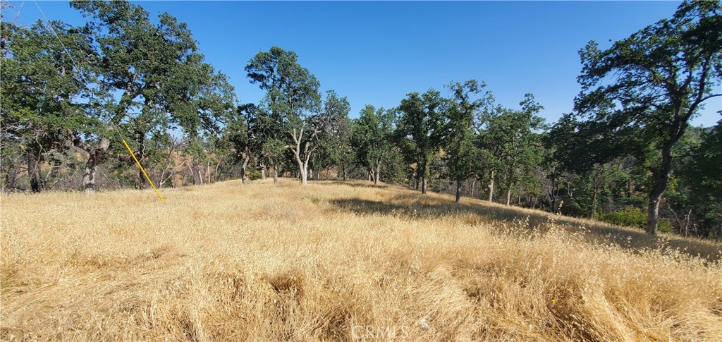 15687 Stagecoach Road Corning, CA 96021 - Photo 11 of 11