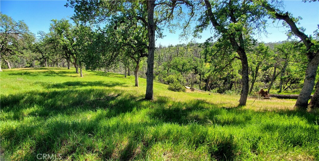 15687 Stagecoach Road Corning, CA 96021 - Photo 3 of 12