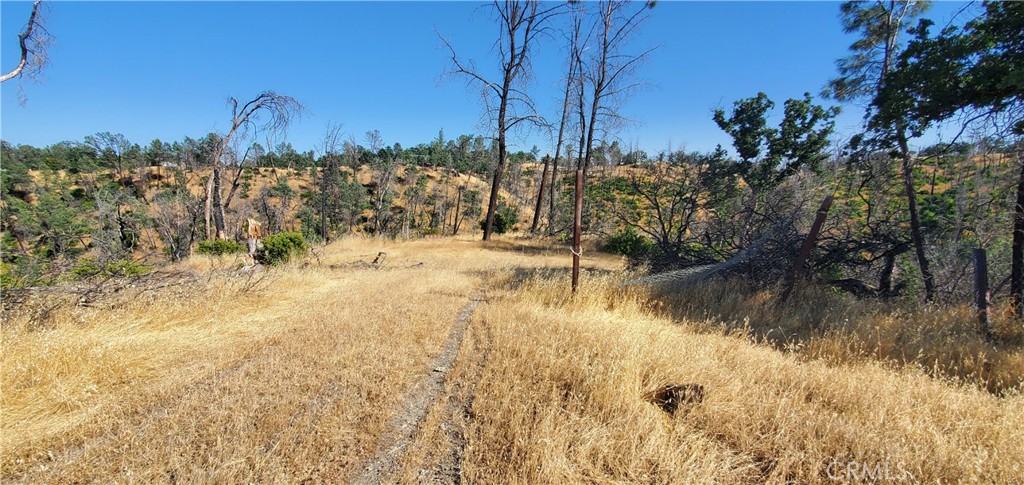 15687 Stagecoach Road Corning, CA 96021 - Photo 4 of 11