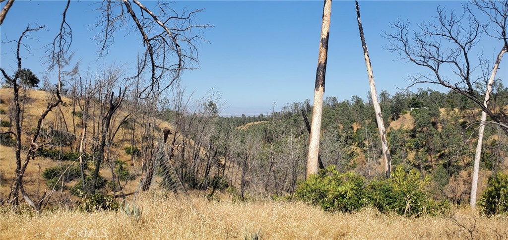 15687 Stagecoach Road Corning, CA 96021 - Photo 7 of 11