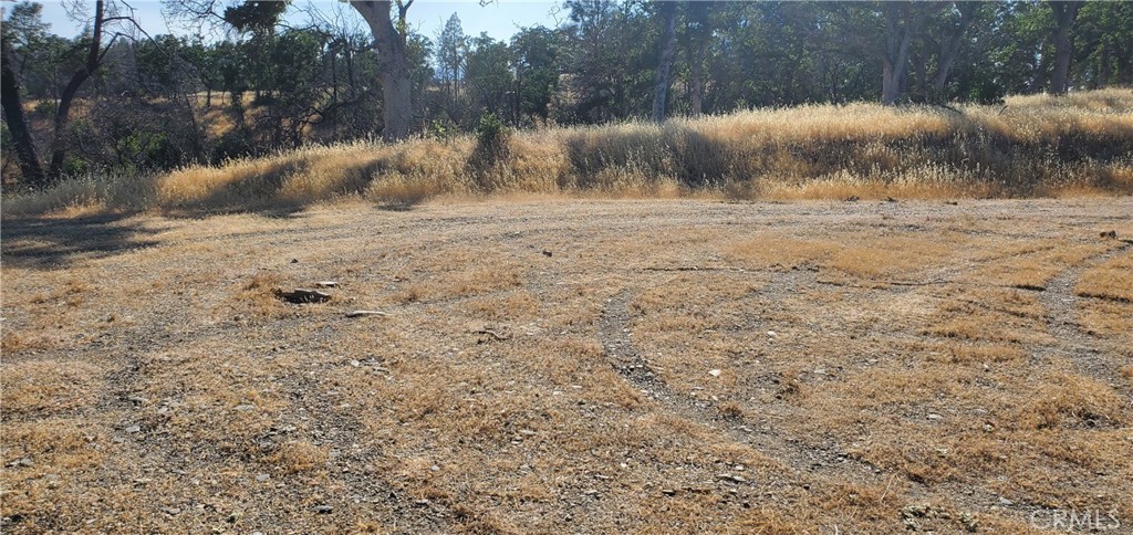 15687 Stagecoach Road Corning, CA 96021 - Photo 8 of 11