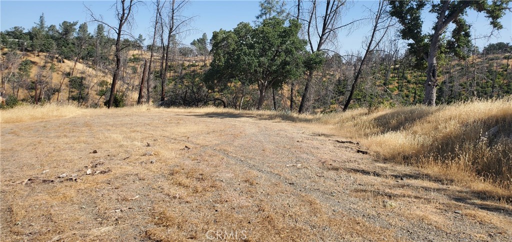 15687 Stagecoach Road Corning, CA 96021 - Photo 9 of 11