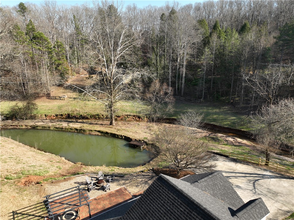 994 Maw Bridge Road Central, SC 29630 - Photo 4 of 31 View looking down on patio area and pond