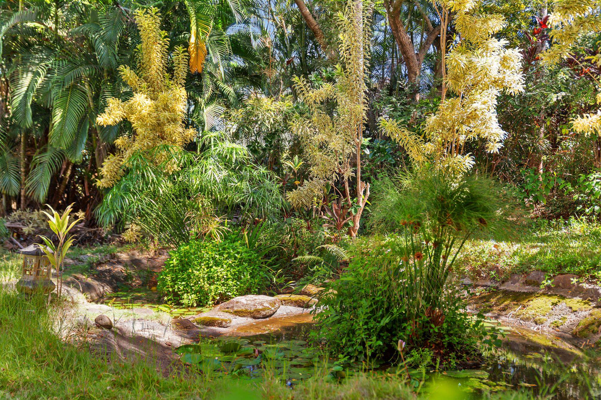 17 Door Of Faith Road Haiku, HI 96708 - Photo 30 of 50