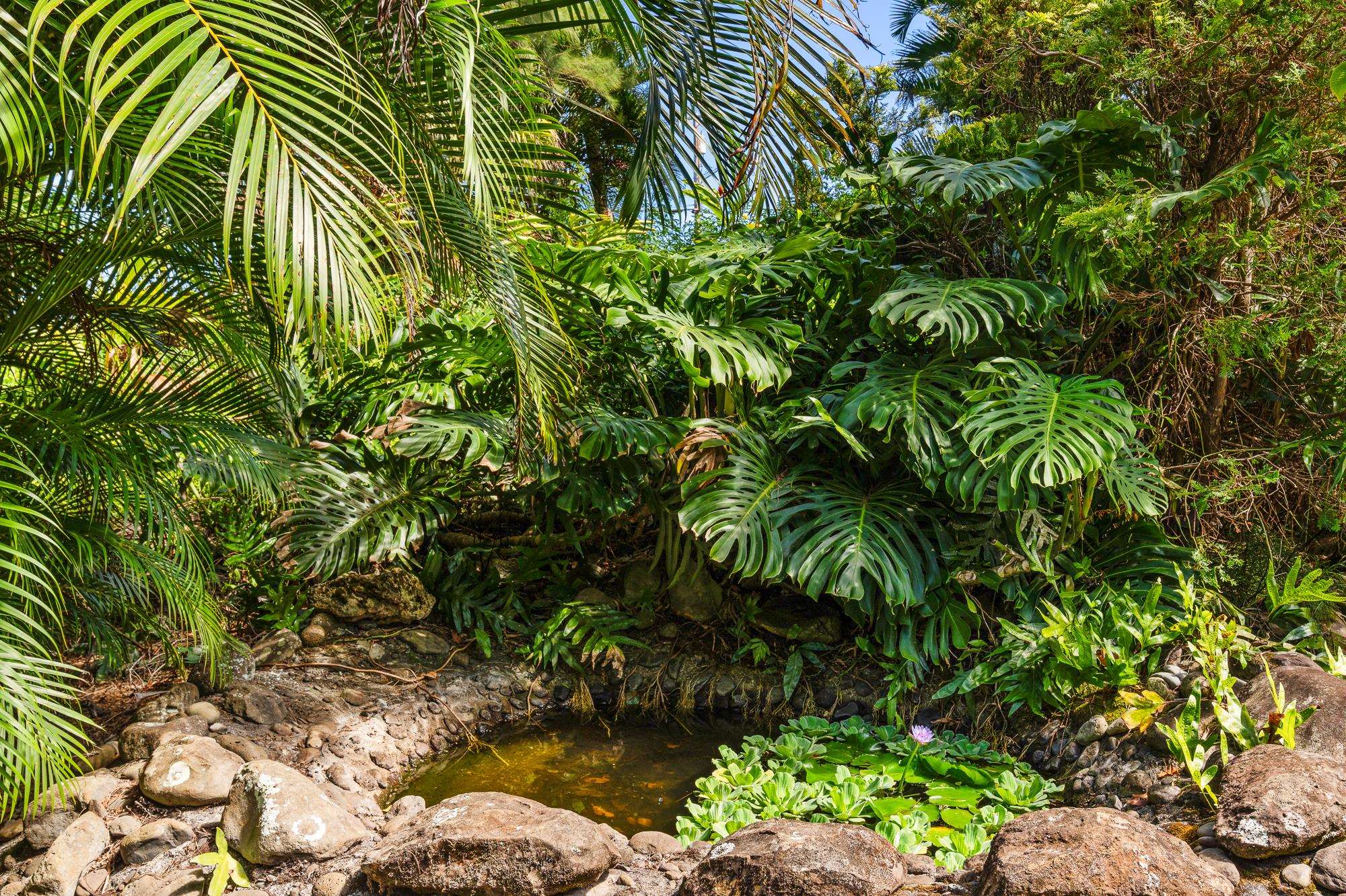 17 Door Of Faith Road Haiku, HI 96708 - Photo 31 of 50