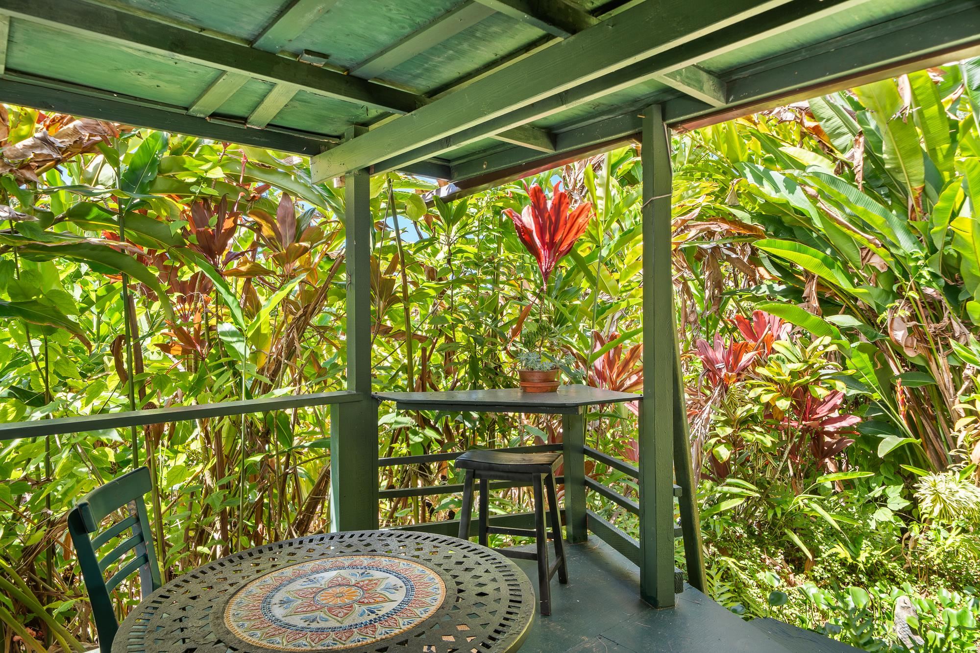 17 Door Of Faith Road Haiku, HI 96708 - Photo 45 of 50