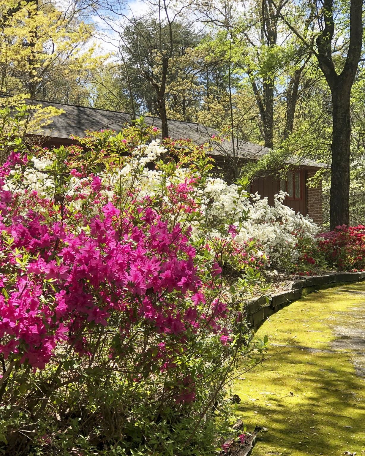 132 State Rd S-42-8449 Spartanburg, SC 29303 - Photo 44 of 50