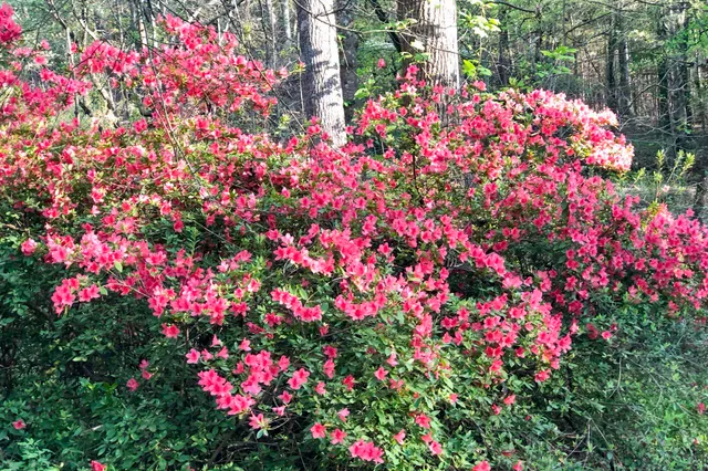 $550,000 | 132 State Rd S-42-8449, Spartanburg, SC 29303