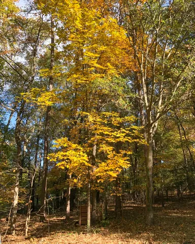 $550,000 | 132 State Rd S-42-8449, Spartanburg, SC 29303