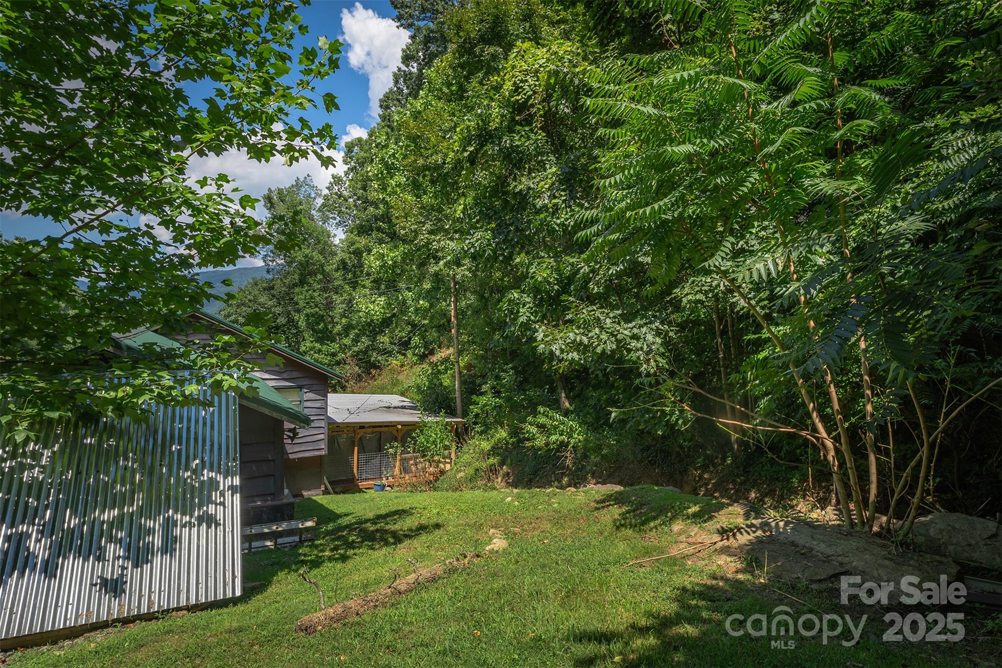 1145 Woolyshot Branch Road Hot Springs, NC 28743 - Photo 31 of 37