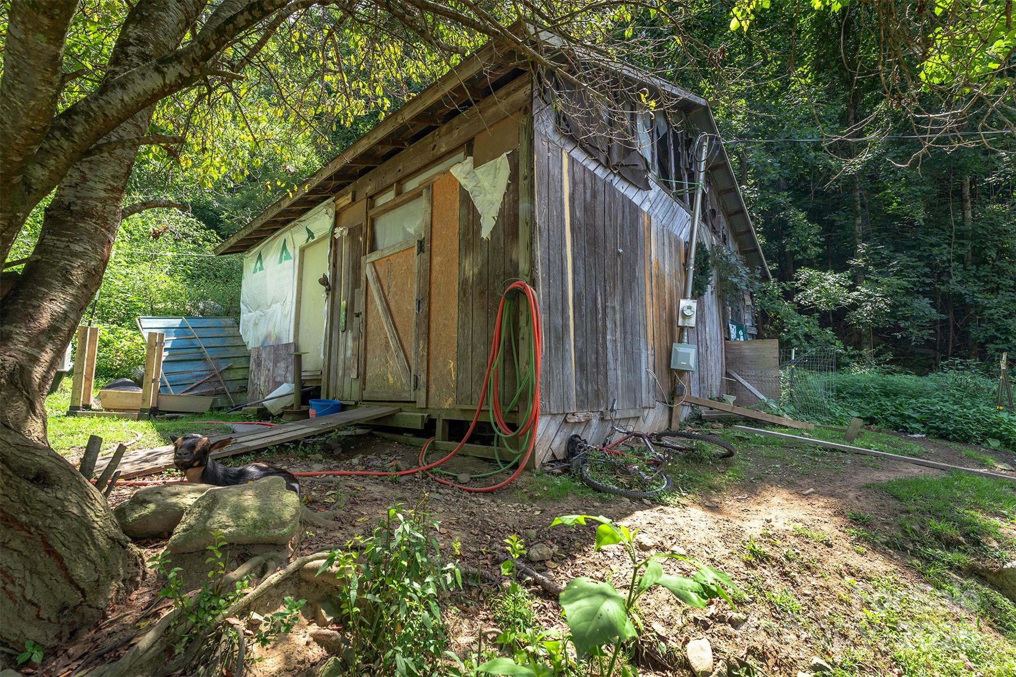 1145 Woolyshot Branch Road Hot Springs, NC 28743 - Photo 32 of 37