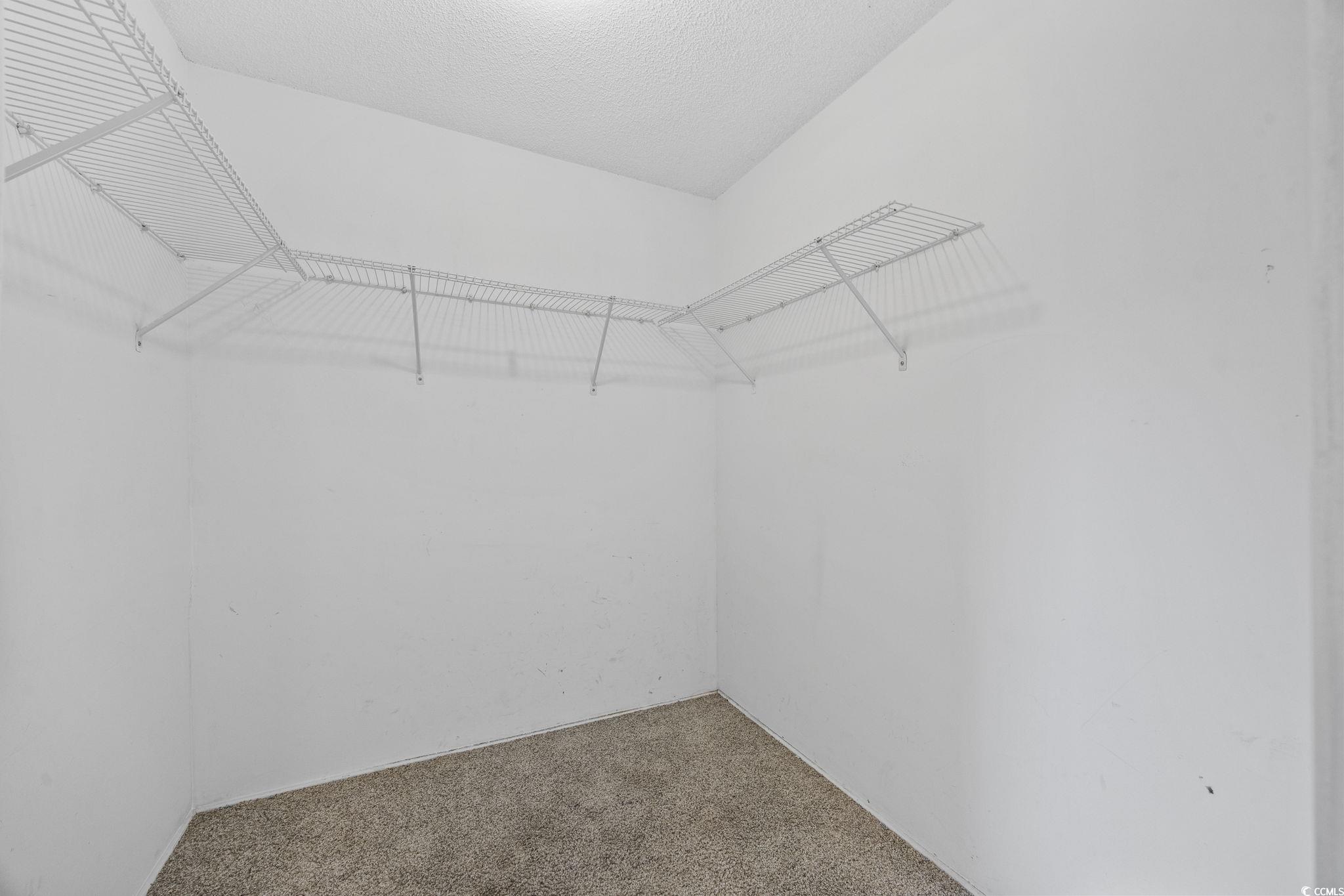 4221 Blake Road Myrtle Beach, SC 29588 - Photo 18 of 36 Walk in closet with carpet flooring