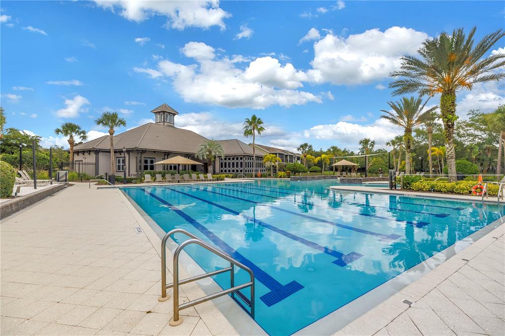 14652 Bournemouth Road Tampa, FL 33626 - Photo 66 of 78 Gallery Image 66