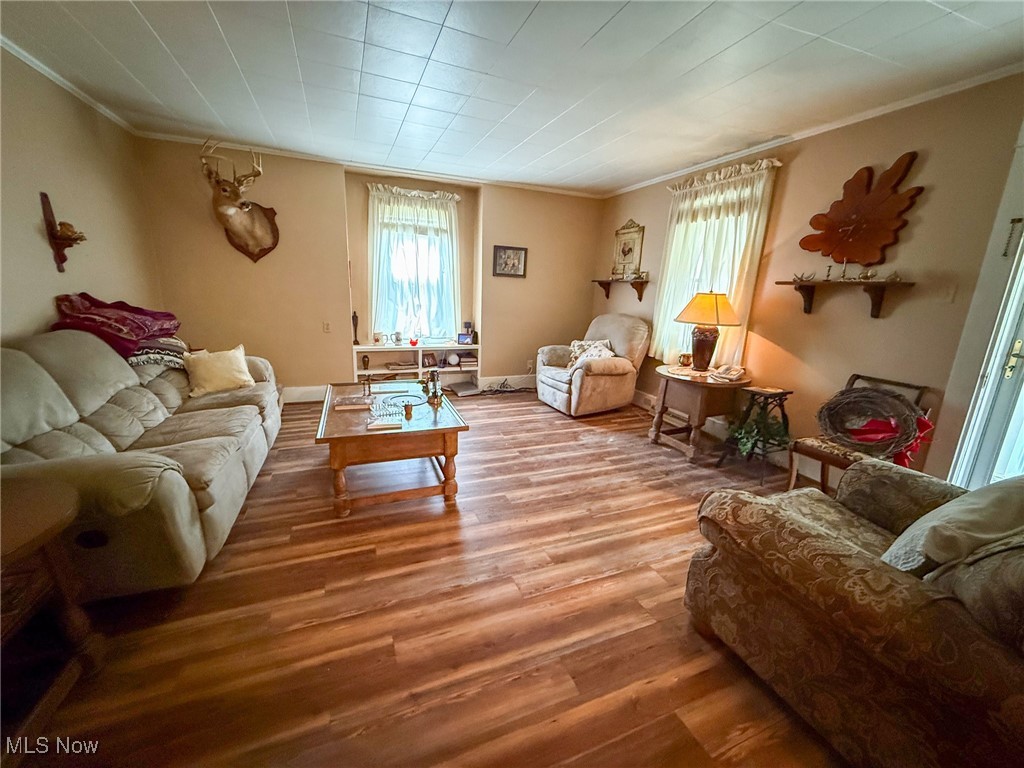 1667 County Road Dillonvale, OH 43917 - Photo 20 of 35 Living room featuring ornamental molding, wood finished floors, and plenty of natural light