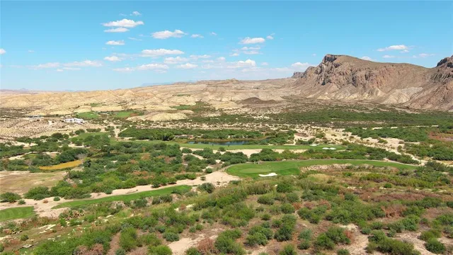 a view of a backyard of the house