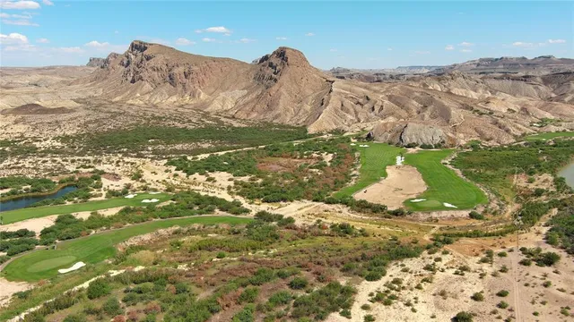 a view of a forest with mountains in the background