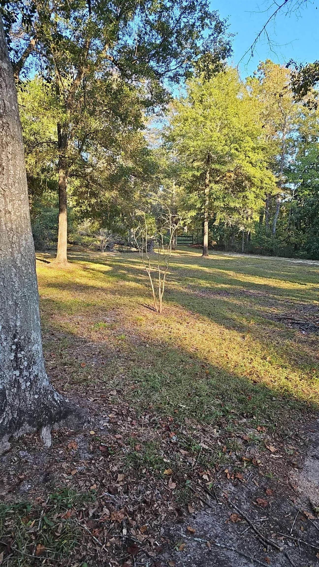 734 Little John Road Tallahassee, FL 32310 - Photo 2 of 11 Gallery Image 2