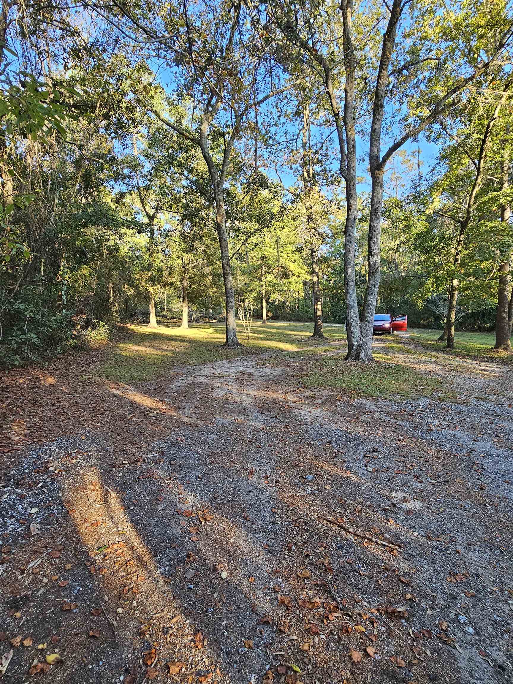 734 Little John Road Tallahassee, FL 32310 - Photo 5 of 11 Gallery Image 5