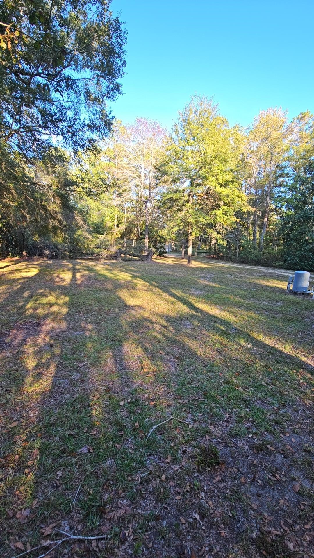 734 Little John Road Tallahassee, FL 32310 - Photo 6 of 11 Gallery Image 6