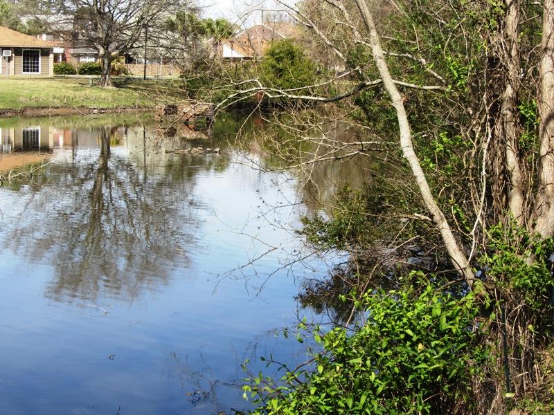 4326 Bream Road North Charleston, SC 29418 - Photo 29 of 35 LAKE VIEW
