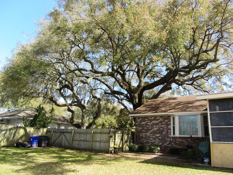 4326 Bream Road North Charleston, SC 29418 - Photo 33 of 35 BACK YARD