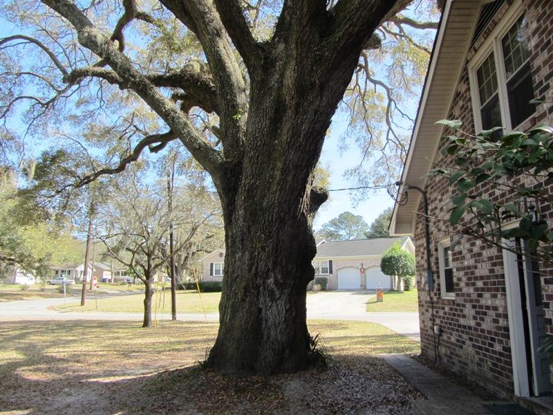 4326 Bream Road North Charleston, SC 29418 - Photo 34 of 35 GRAND OAK