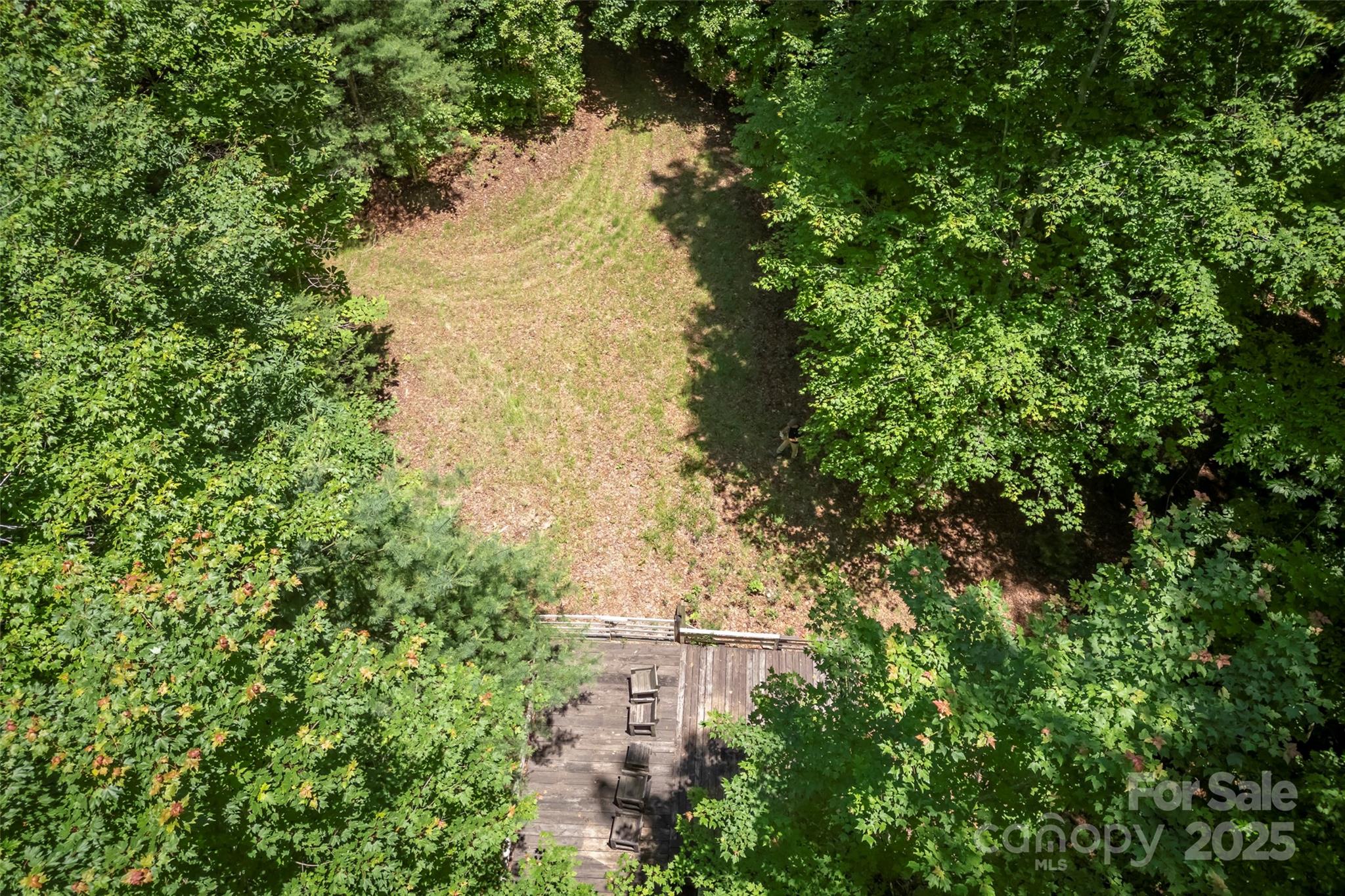 Tbd Girl Scout Camp Road Brevard, NC 28712 - Photo 13 of 35