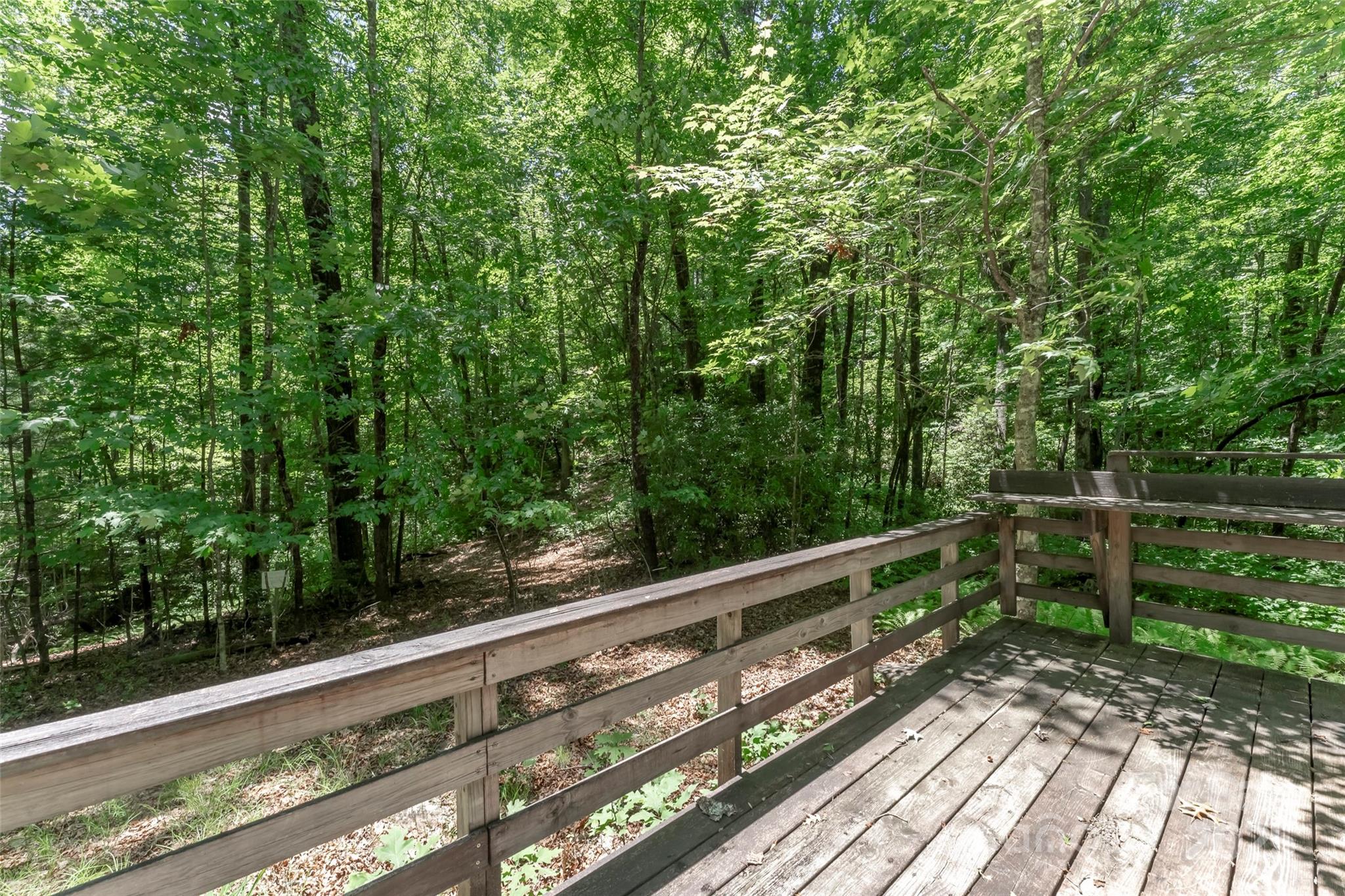 Tbd Girl Scout Camp Road Brevard, NC 28712 - Photo 17 of 35
