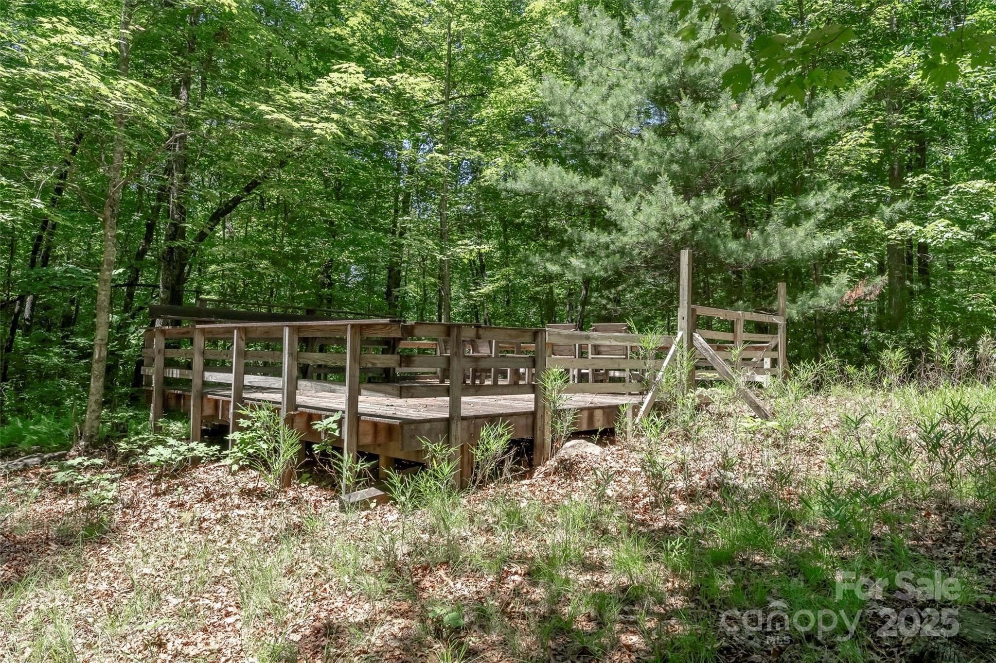Tbd Girl Scout Camp Road Brevard, NC 28712 - Photo 21 of 35