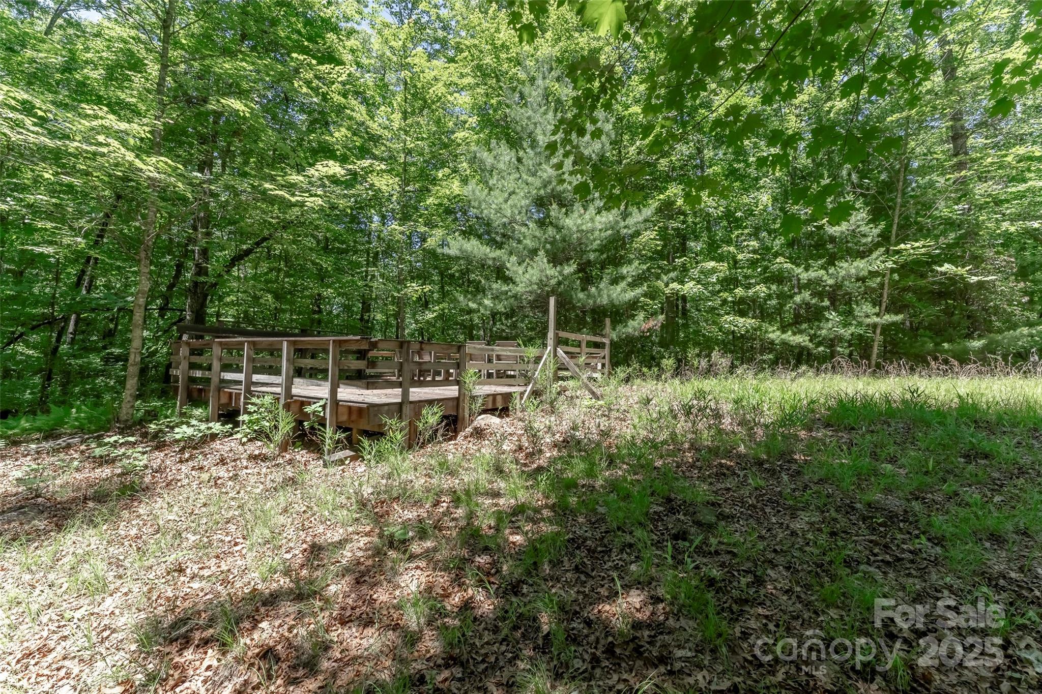 Tbd Girl Scout Camp Road Brevard, NC 28712 - Photo 22 of 35