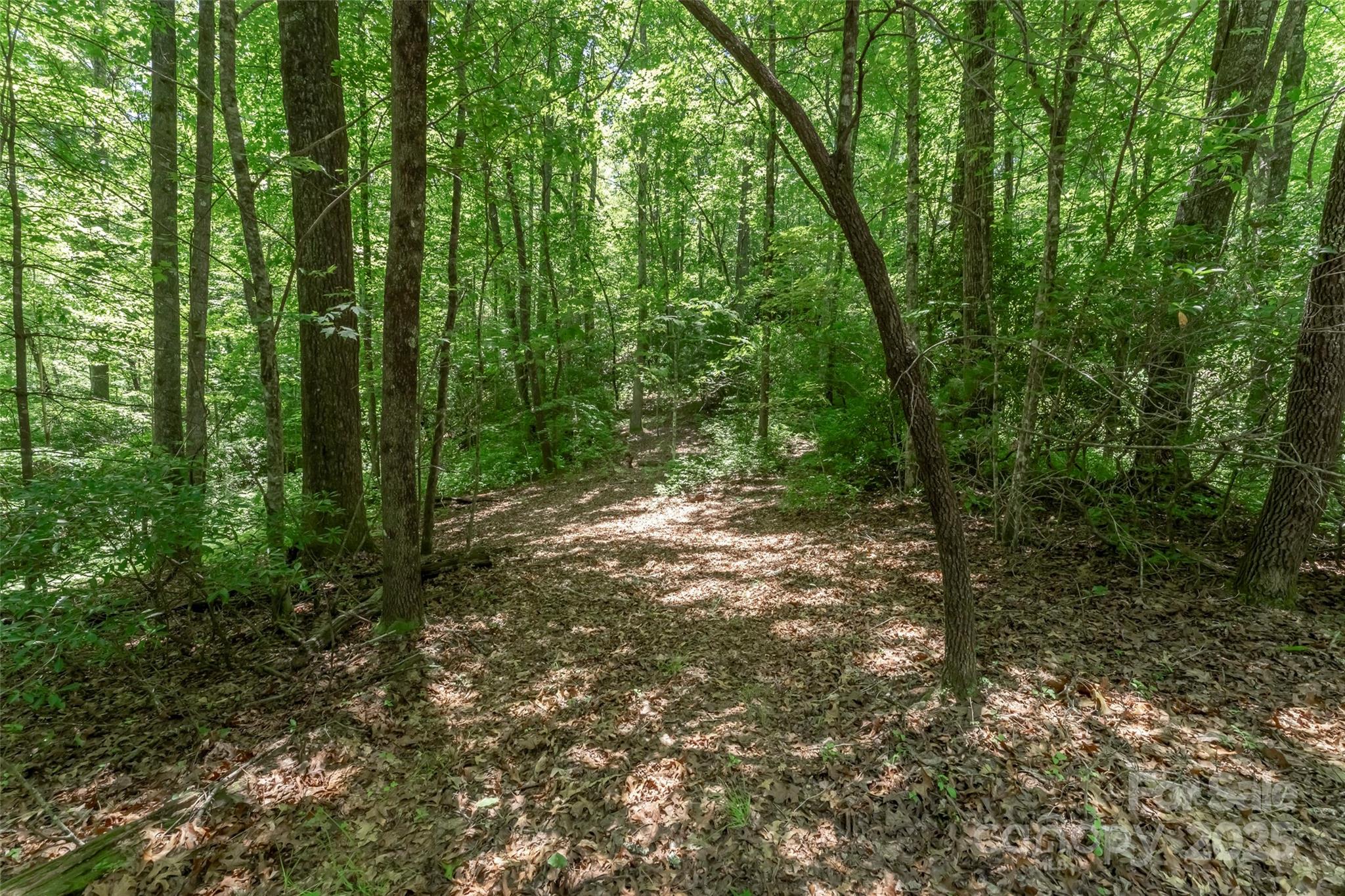 Tbd Girl Scout Camp Road Brevard, NC 28712 - Photo 23 of 35