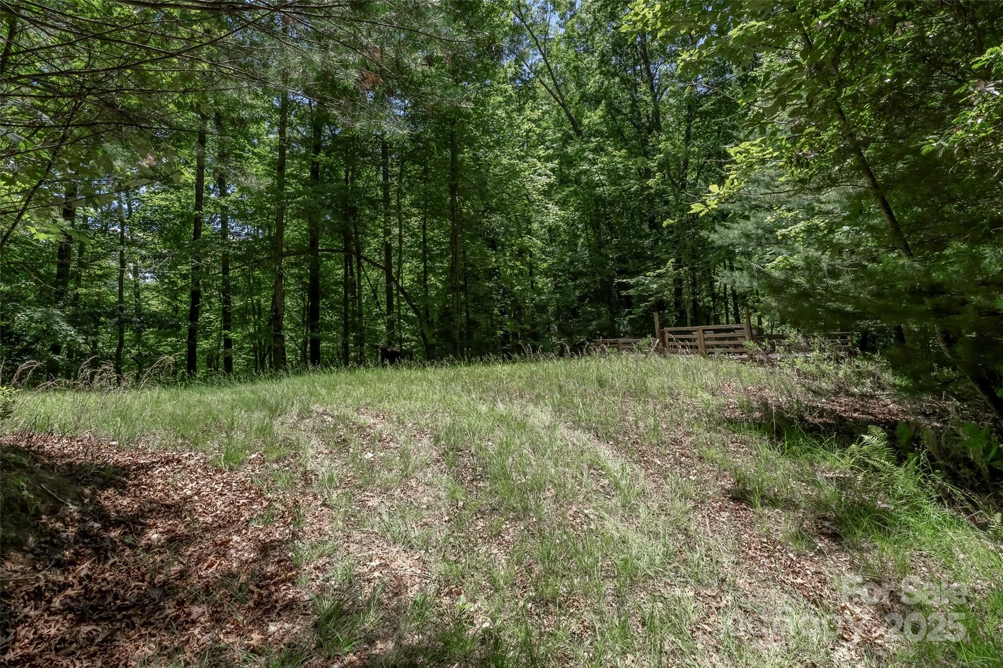 Tbd Girl Scout Camp Road Brevard, NC 28712 - Photo 25 of 35